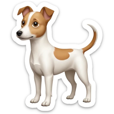 a full body white jack russel looking dog the size of a kelpie with light brown ears and a light brown patch on one eye and a large snout sticker