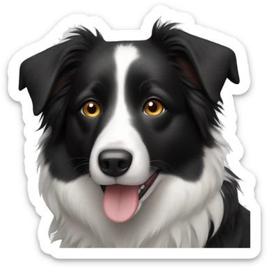 border collie sticker