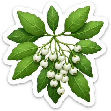 Mistletoe in bunch sticker