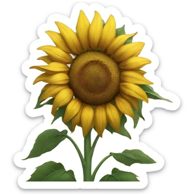 Sunflower  sticker
