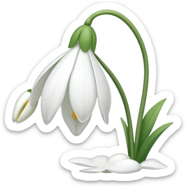 Snowdrop sticker