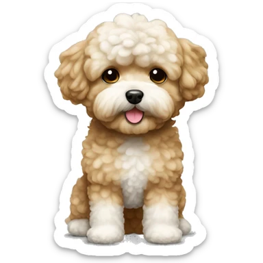 light brown maltipoo with white socks sticker
