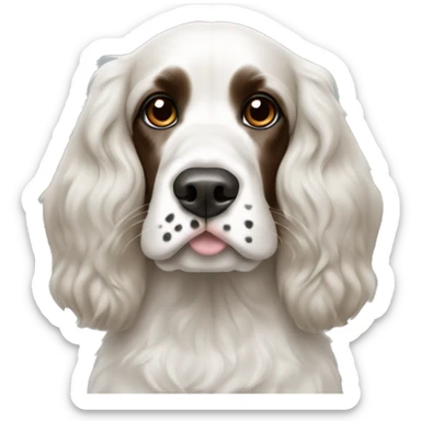 black and white cocker spaniel with nose spots sticker