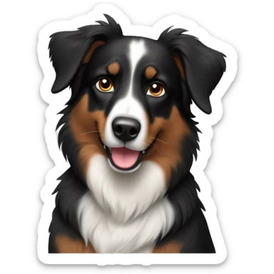 black and white Australian Shepard dog  sticker