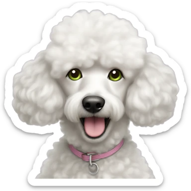 White fluffy poodle with greenish eyes and pink nose sticker