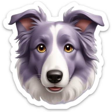 Lilac merle border collie sticker