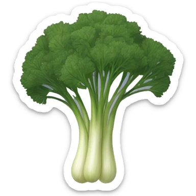 Dill sticker