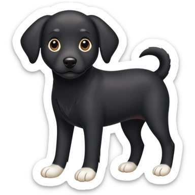 smooth coat Black dog white toes and white tip of tail sticker