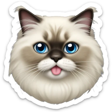 Himalayan cat with tongue out, blue eyes sticker