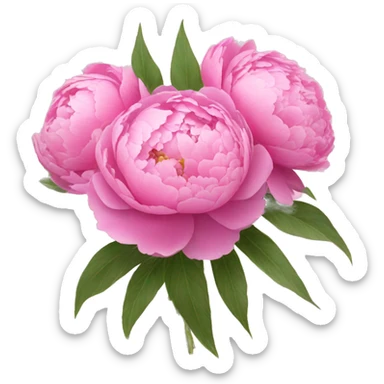 Bouquet of pink peonies sticker