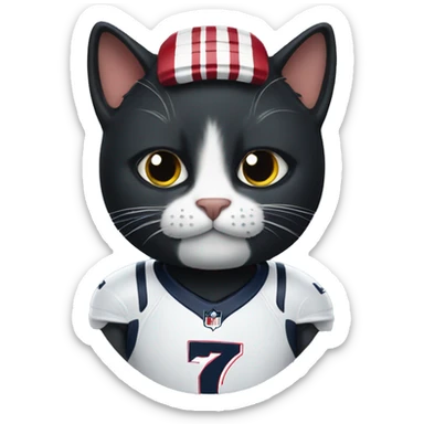 black cat wearing New England Patriots Jersey sticker