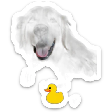 English cream golden retriever with small yellow duck dog toy in his mouth sticker
