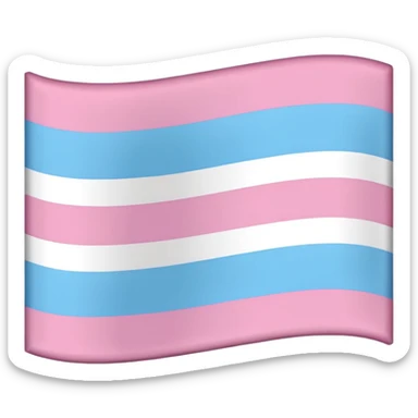 Anti trans flag sticker