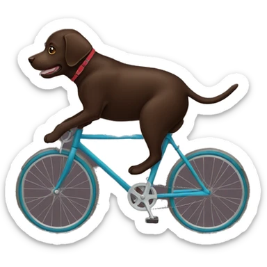 A dark chocolate lab riding a bike  sticker