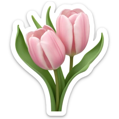 light pink tulips sticker