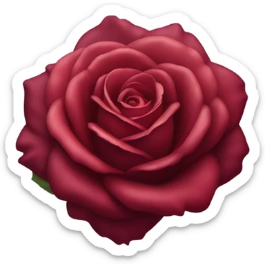 Hot rose sticker
