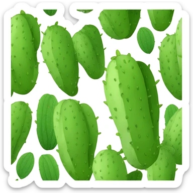 single flat Nopal without pot sticker