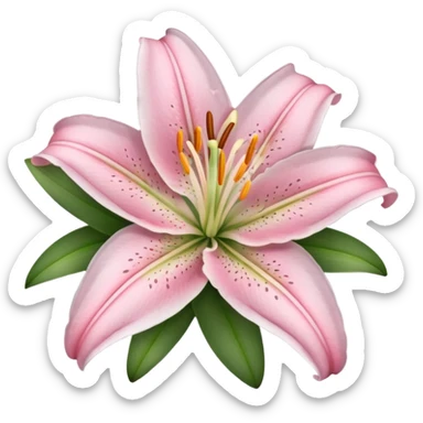 large soft pink lily sticker