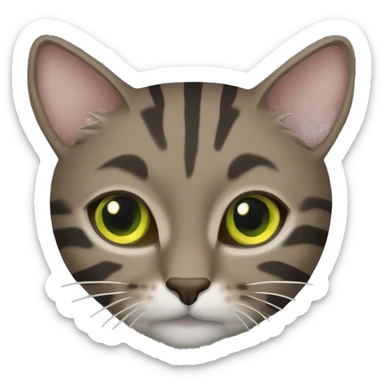 brown sitten cat with dark grey and light grey stripes with yellowish green eyes  sticker