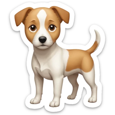 a full body facing front on of a buff white beagle cross jack russell terrier looking dog the size of a kelpie with light brown long ears resting on its face and a light brown patch above one eye and a large snout. the rest of the dog is completely white.  sticker