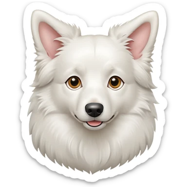 A pure white Border Collie dog sitting, with fluffy fur, alert pointed ears, and friendly expression sticker