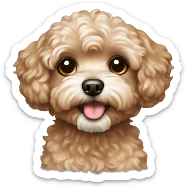 Brown maltipoo dog  sticker