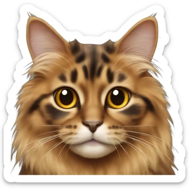 whole body of Long haired tortoiseshell cat dominant brown fur not orange sticker