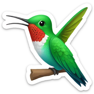 colibri sticker