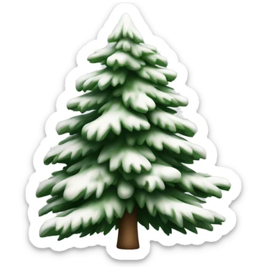  actual white fir christmas tree isolated.  sticker