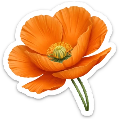 icelandic poppy sticker