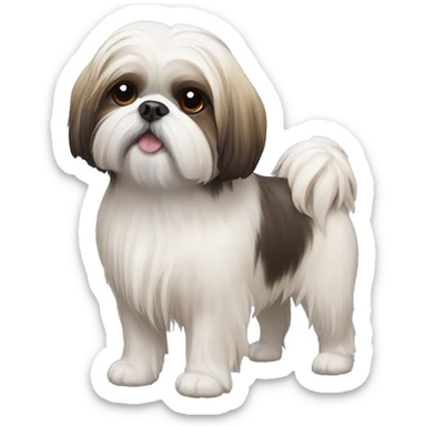 Shihtzu sticker