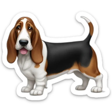 Dog basset hound full-height sticker