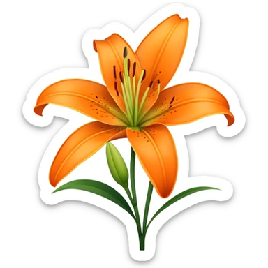 single Lily Asiatic, straight stem sticker