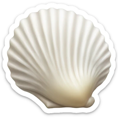 white seashell sticker