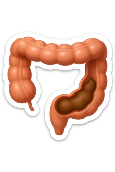 EMOJI STILE IPHONE DI UN TRATTO DI COLON INTESTINALE CHE FLUTTUA IN ARIA CON ALL'INTERNO DELLE FECI, IPERREALISTICO 4K sticker