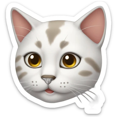 cat wink sticker