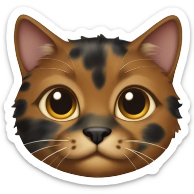 Tortoiseshell hair cat with small patches of tan  sticker
