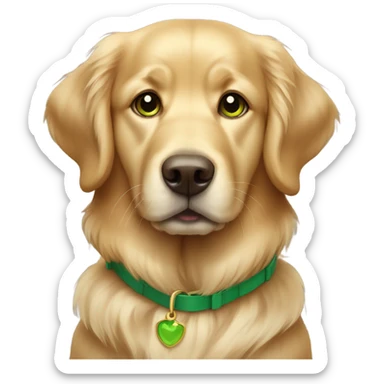 Golden retriever with a green collar and brown eyes sticker