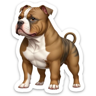 American bully dog  sticker