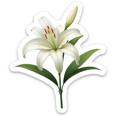 single White Oriental Lily, straight stem sticker