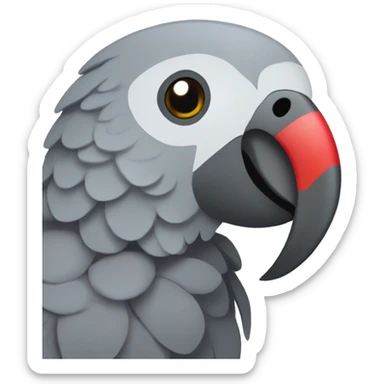 African grey parrot with red feather on his tail and not on his head with dark grey beak sticker