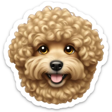 Small curly hair dog with short gold fur  sticker