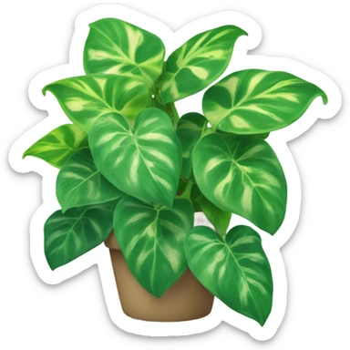 pothos sticker
