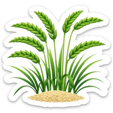 rice plant sticker