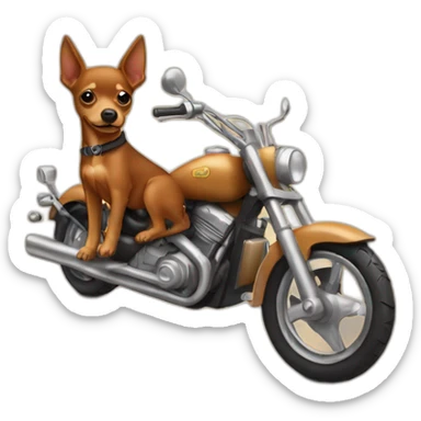 caramel-color-pinscher-dog-driving-a-motorcycle sticker