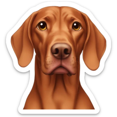Vizsla sticker