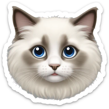Ragdoll kitten sticker