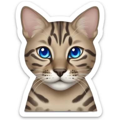 Dark beige/grey Bengal cat with blue eyes sticker