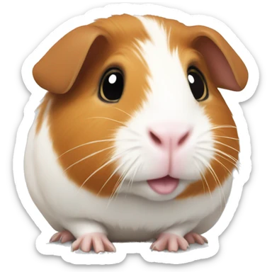 Guinea pig sticker