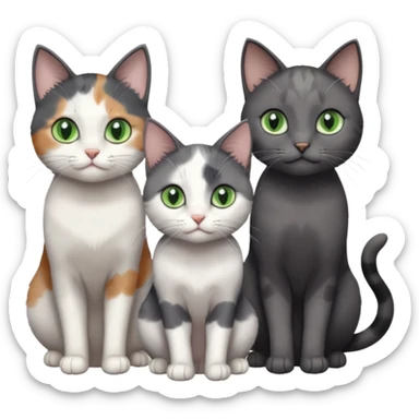 3 different coloured small cats including a dark grey and white, and a patchy calico and a completely solid dark grey with green eyes and only white paws sticker